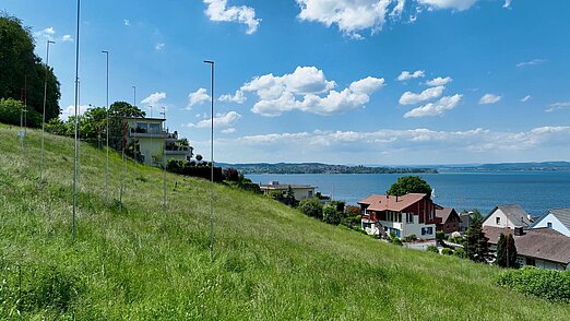 A panorama of a green meadow with a view of an adjacent lake and individual detached houses in the neighborhood.