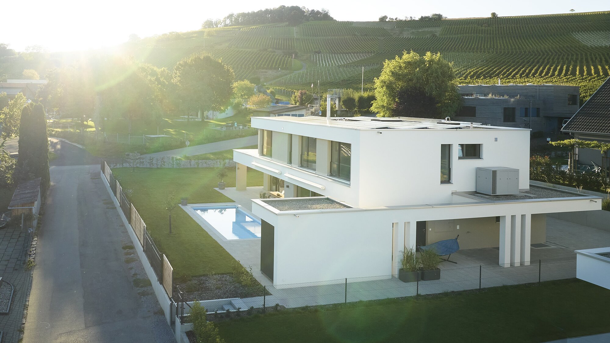 Exterior view of the VITIS VINIFERA detached house, street side