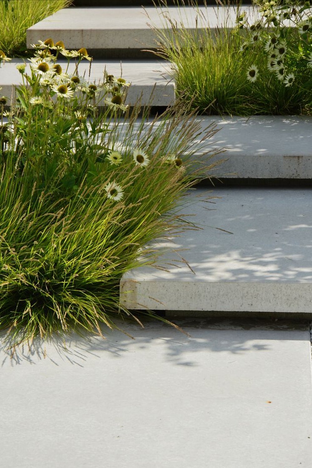 Garden path with natural stone slabs